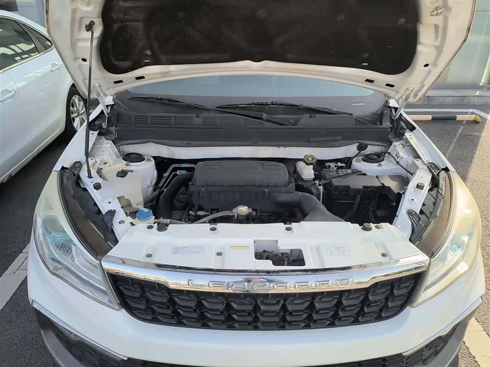 Leopaard Cheetah CS9