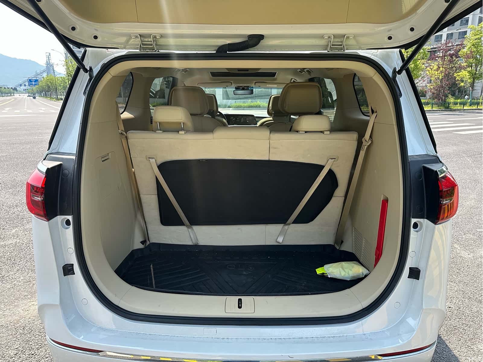 Buick GL8, 2022 24