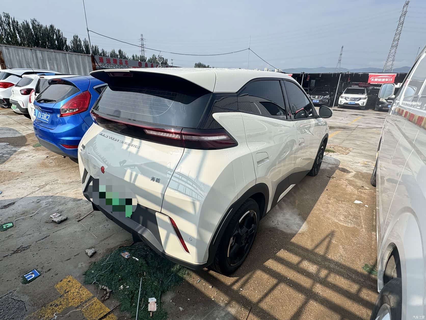 BYD Seagull, 2024 10