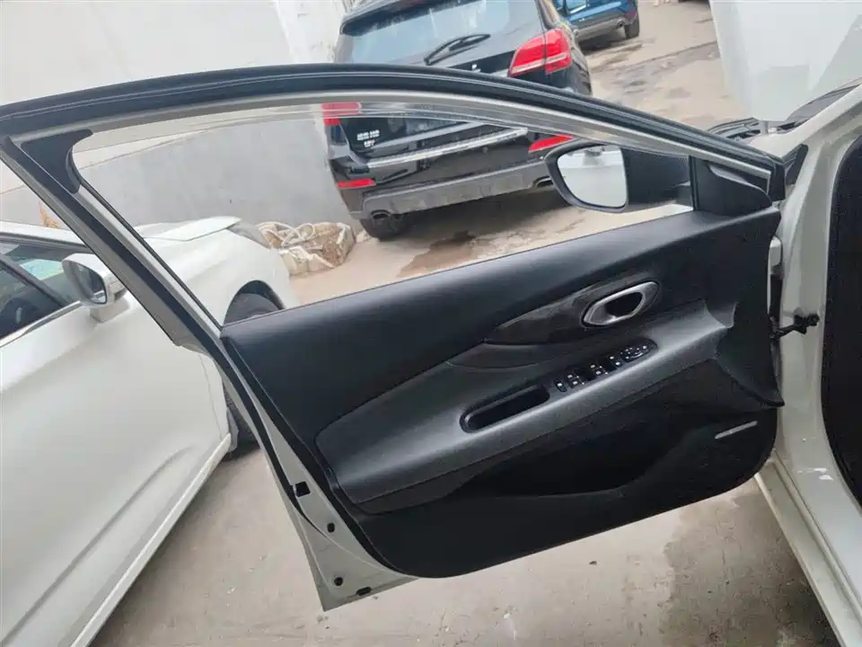 Trumpchi Shadow Leopard