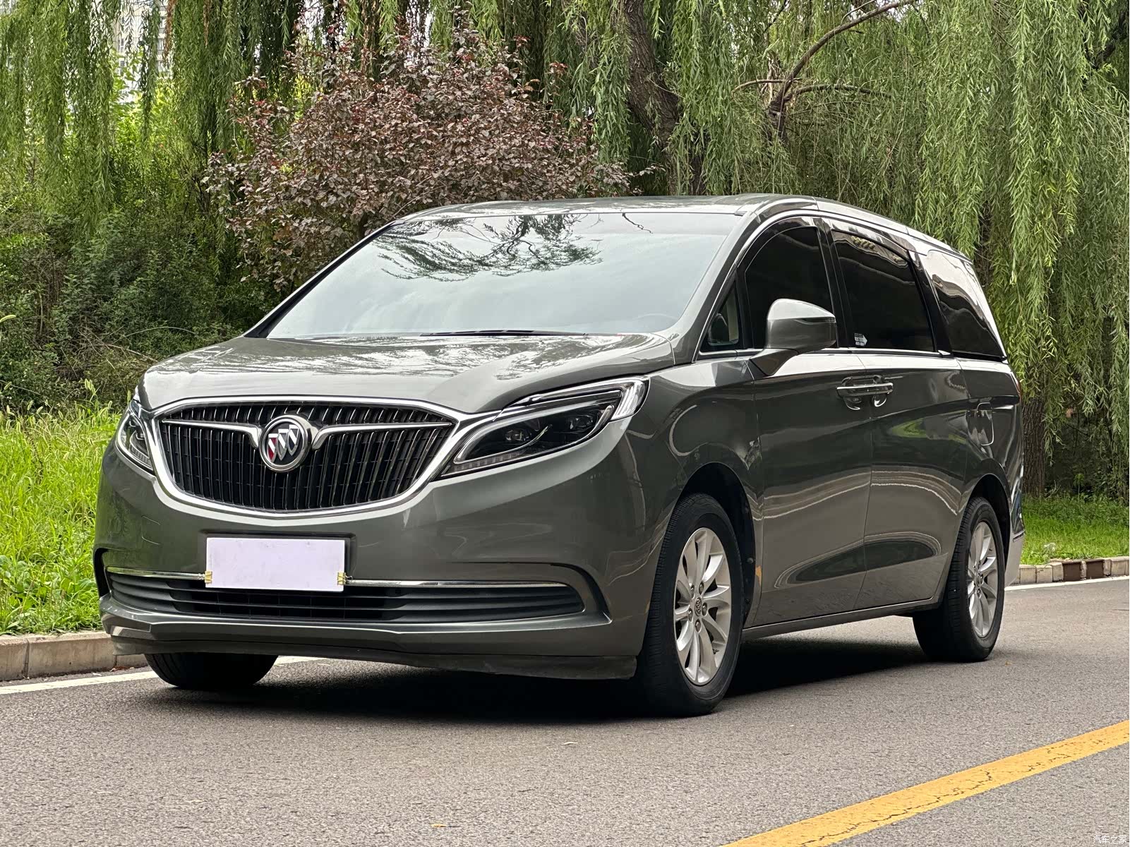 Buick GL8, 2019 1