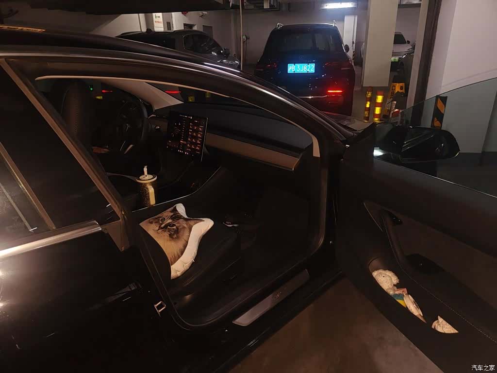 Tesla Model 3, 2020 21
