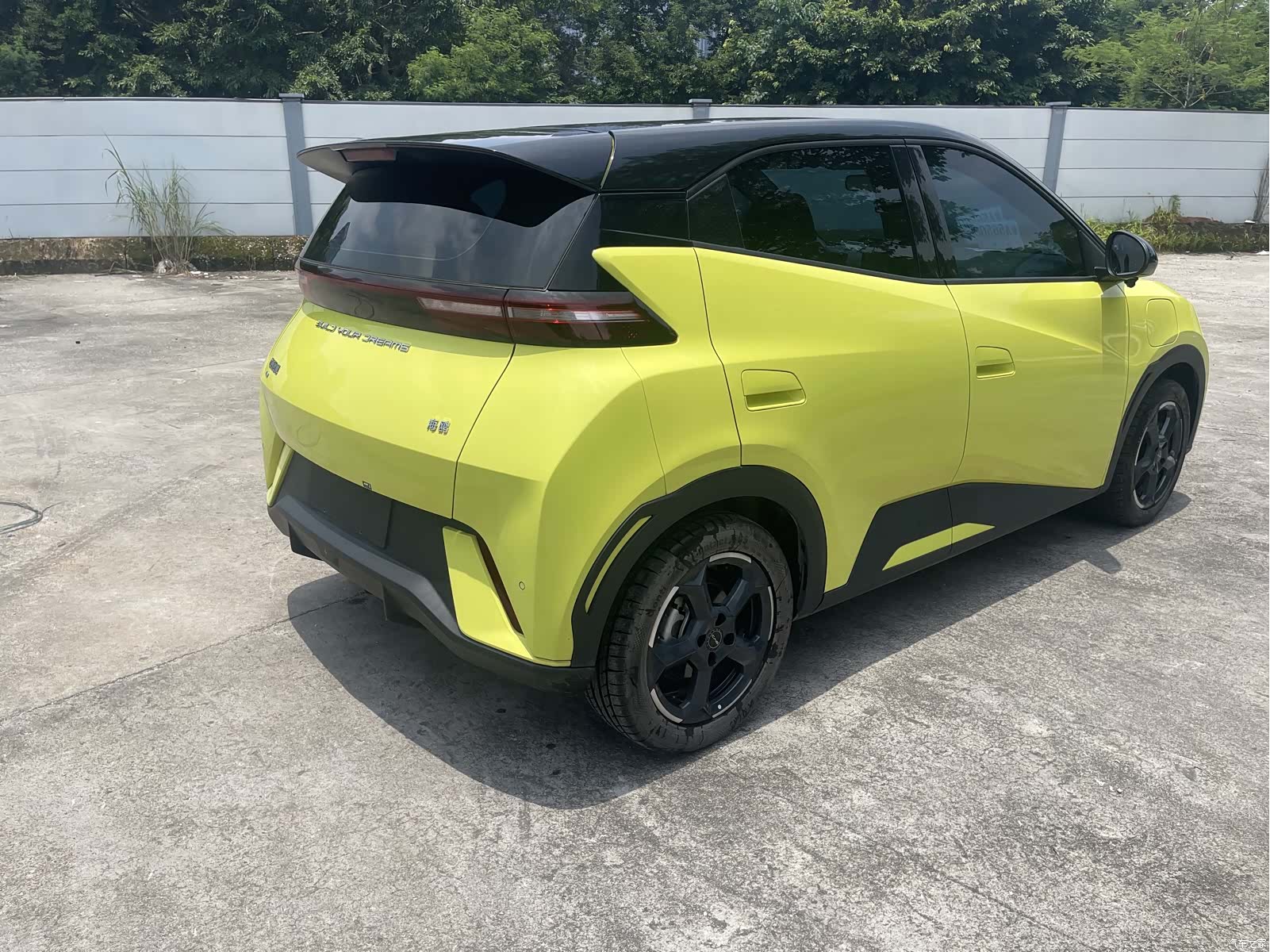 BYD Seagull, 2024 все фото