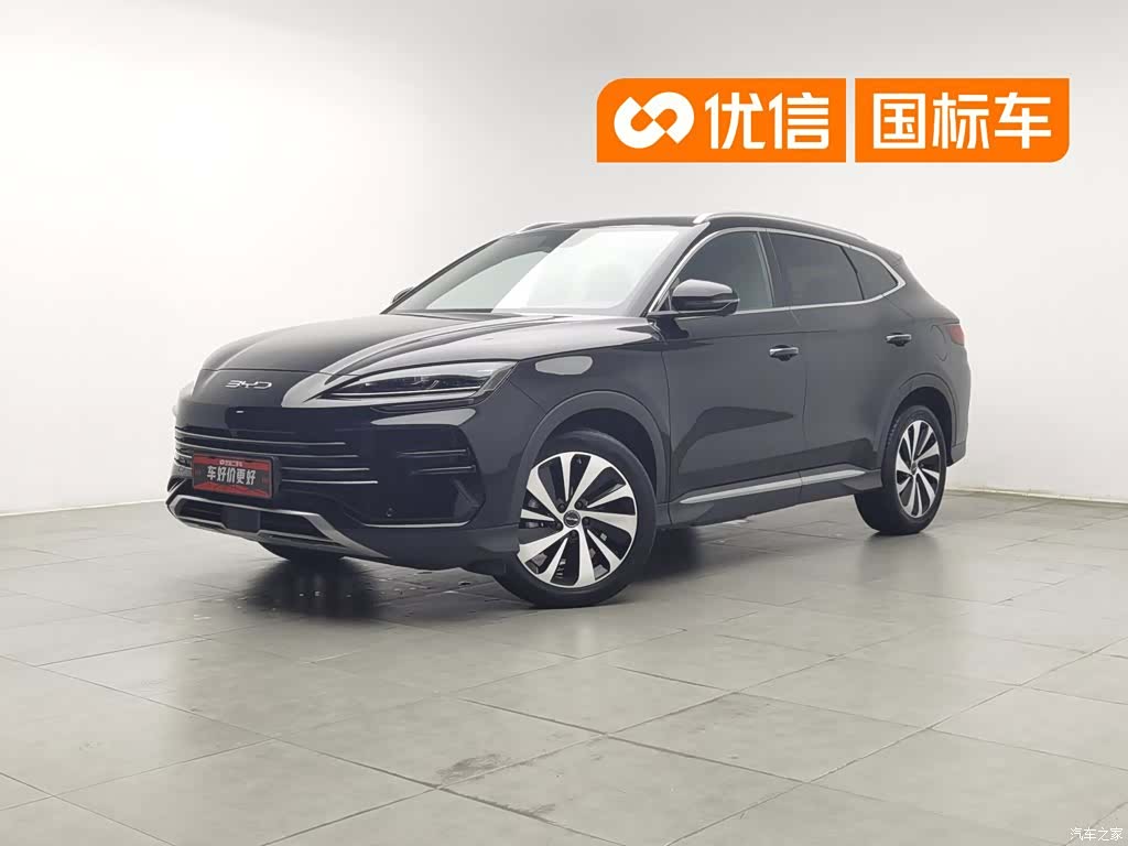 BYD Song, 2024 1