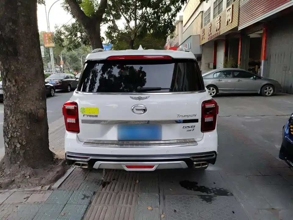 Trumpchi Trumpchi GS8