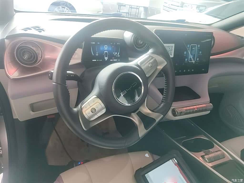 BYD Dolphin, 2022 11