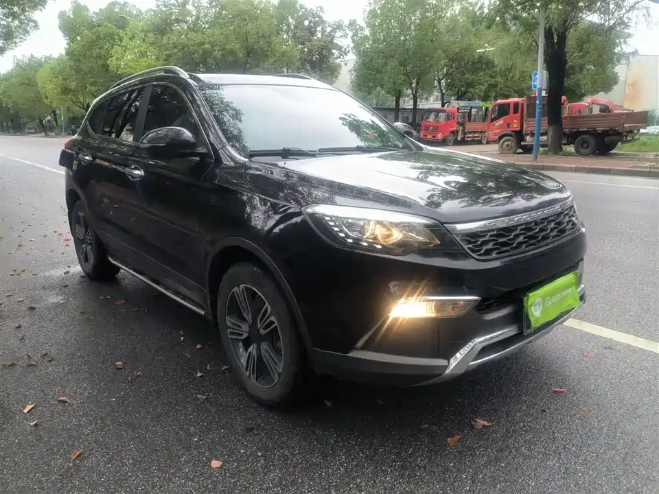 Leopaard Cheetah CS10