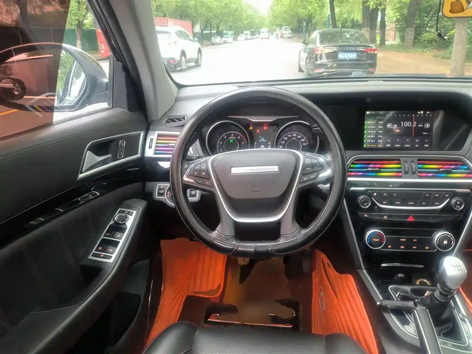 Leopaard Cheetah CS10