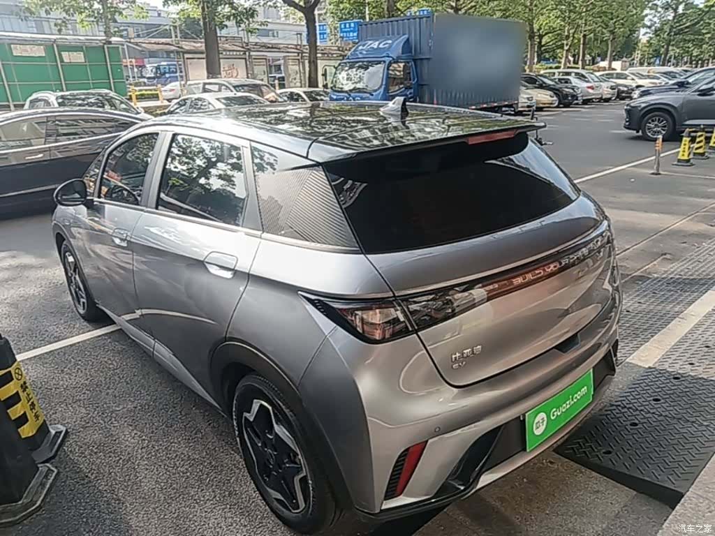 BYD Dolphin, 2022 все фото