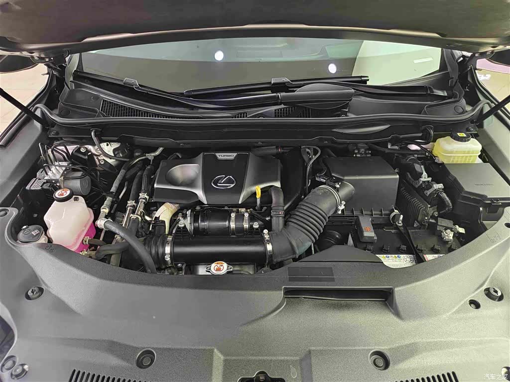 Lexus RX, 2022 16