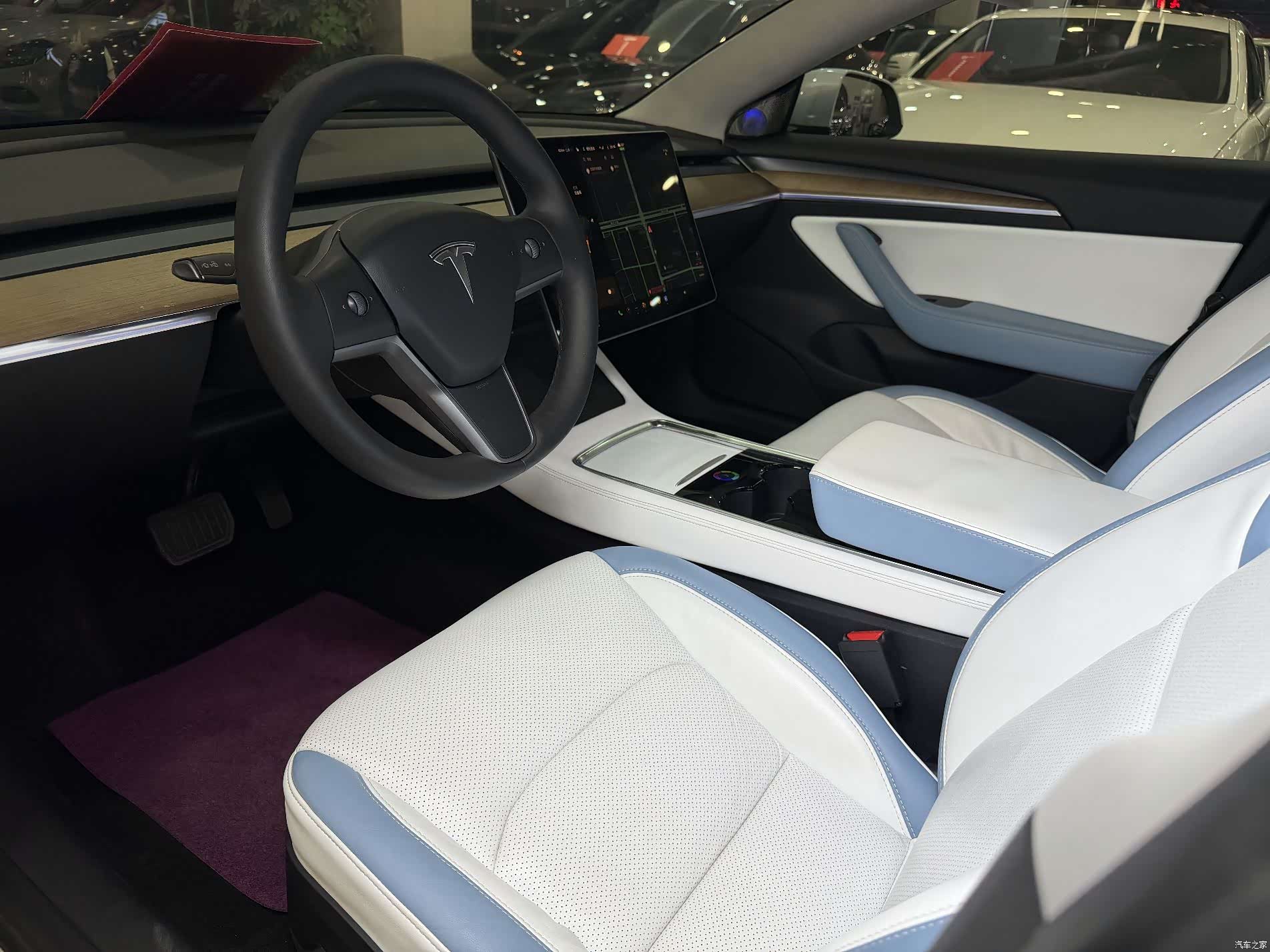 Tesla Model 3, 2021 8
