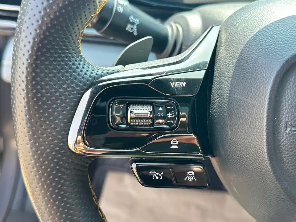 Trumpchi Shadow Leopard