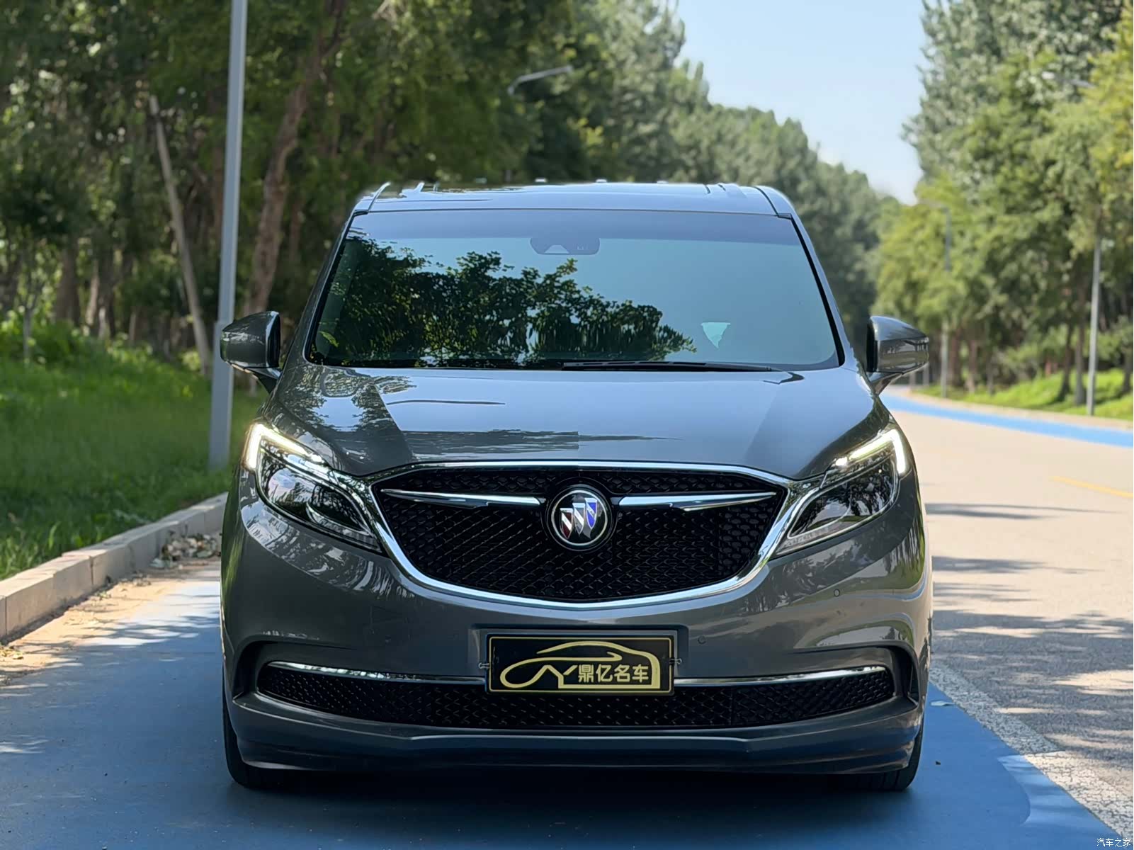 Buick GL8, 2019 2