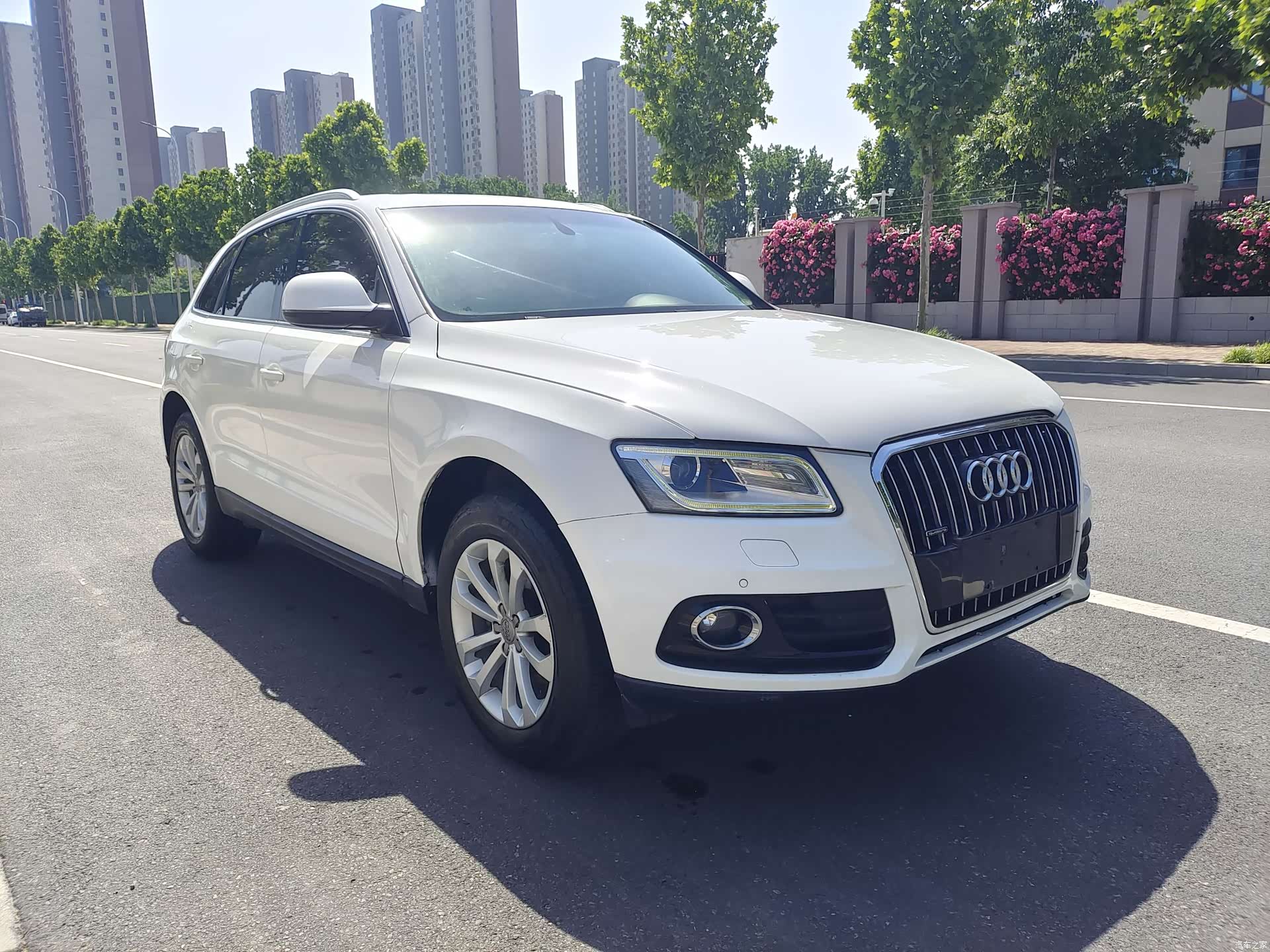Audi Q5, 2013 3