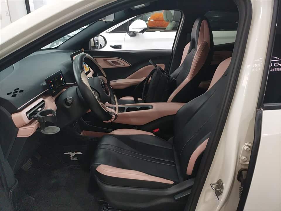 BYD Seagull