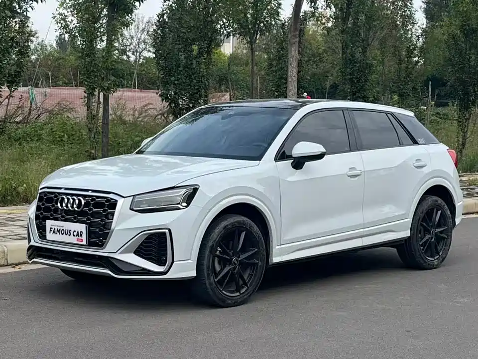 Audi Q2L