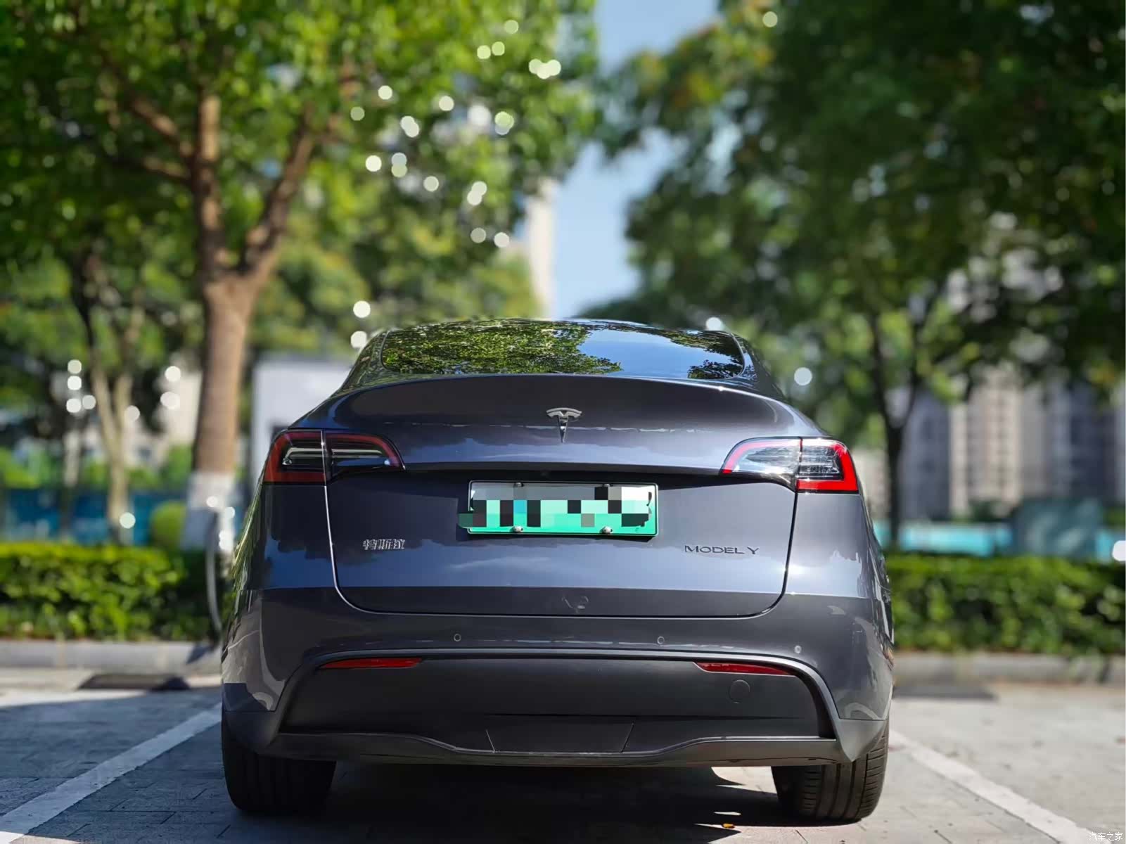 Tesla Model Y, 2022 все фото