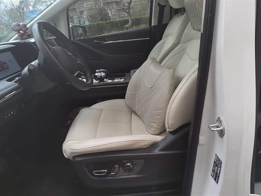 Trumpchi Trumpchi E9