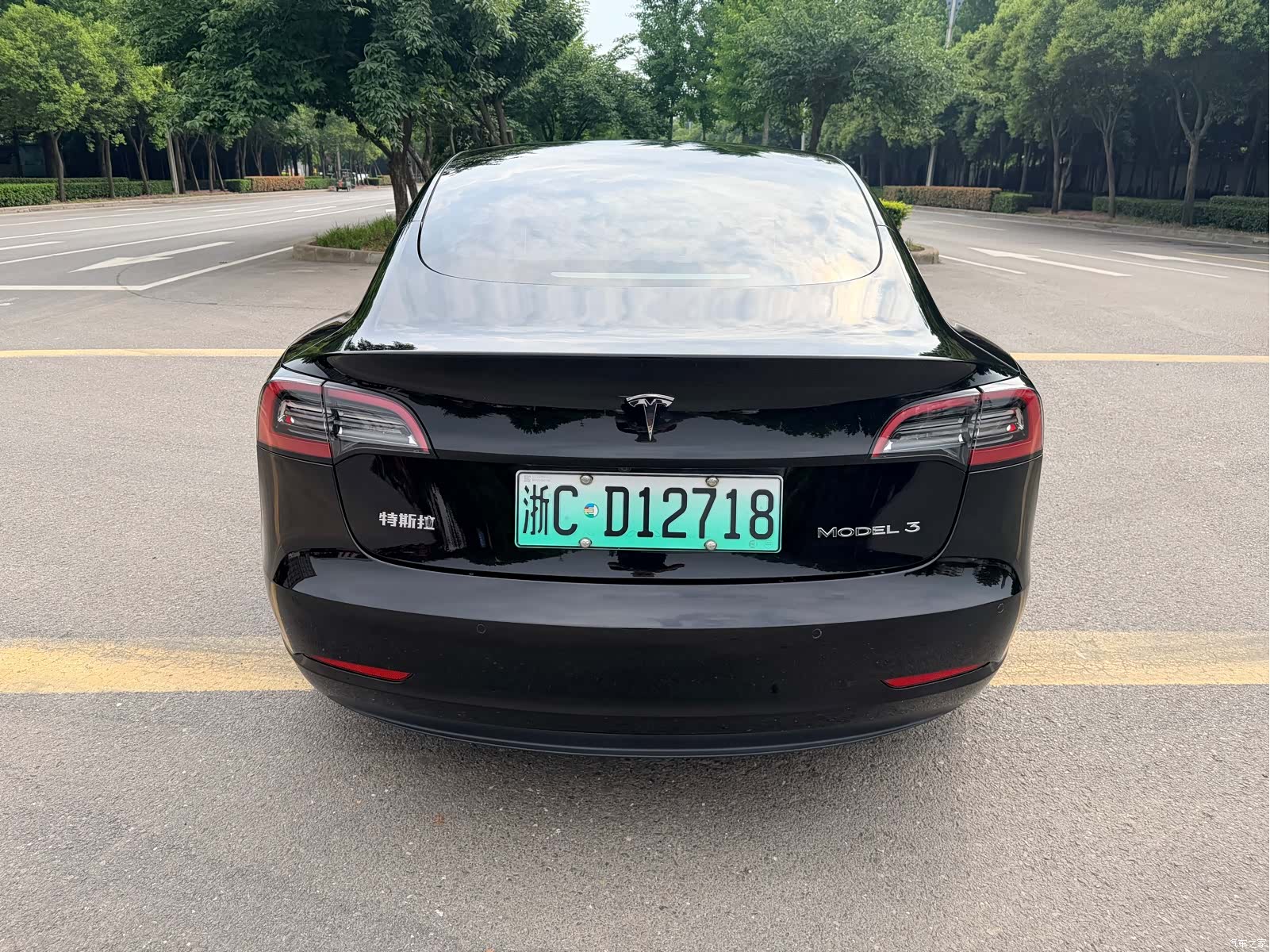 Tesla Model 3, 2021 9