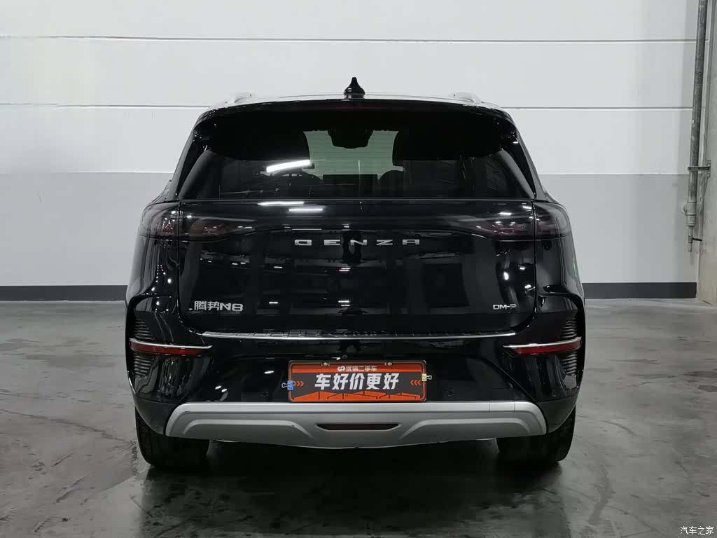 Denza N8, 2023 4