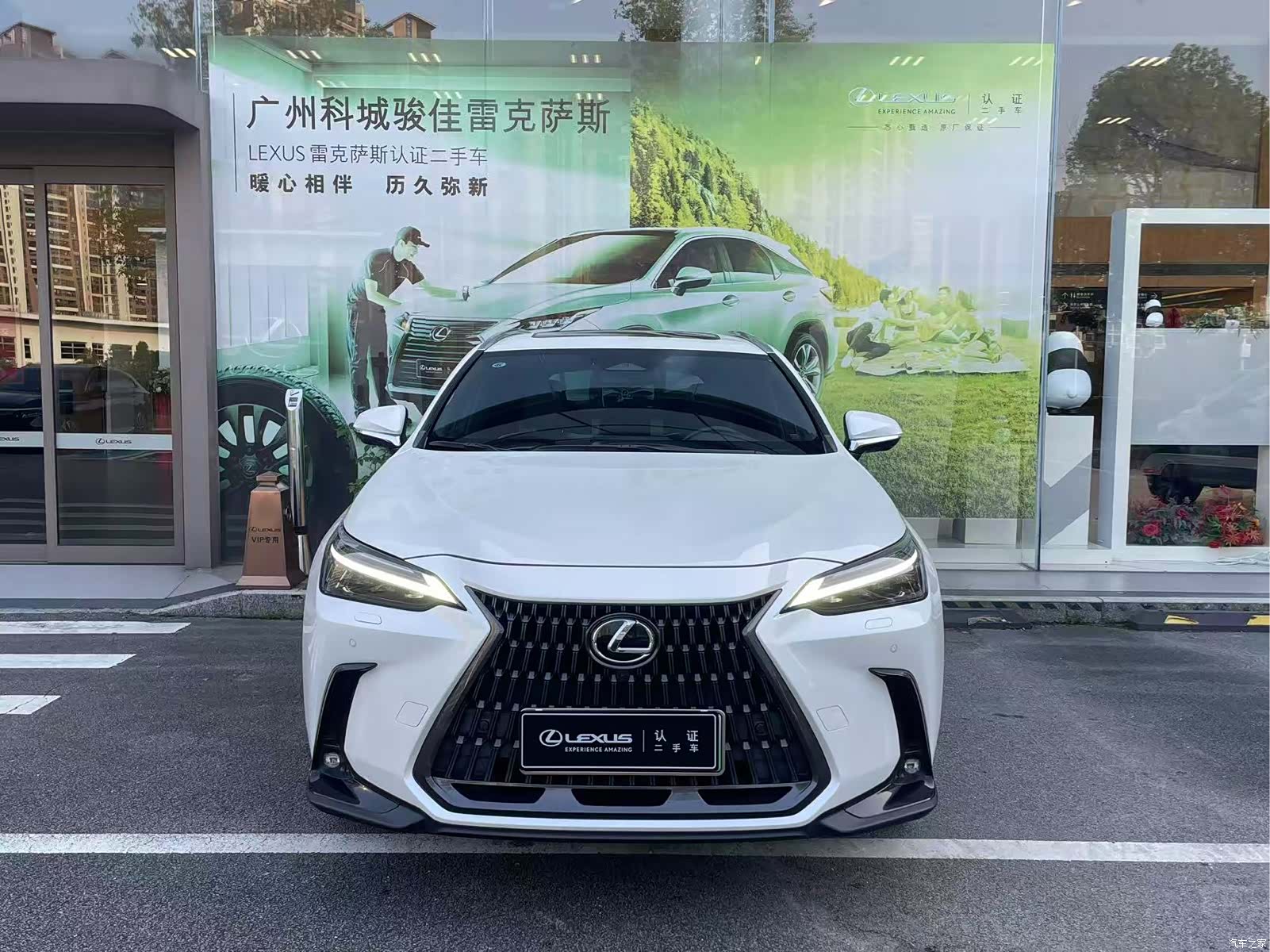 Lexus NX, 2022 2