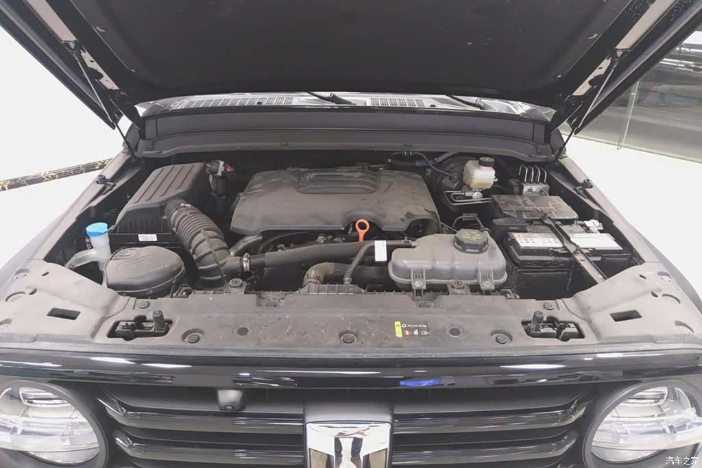 Tank 300, 2025 10