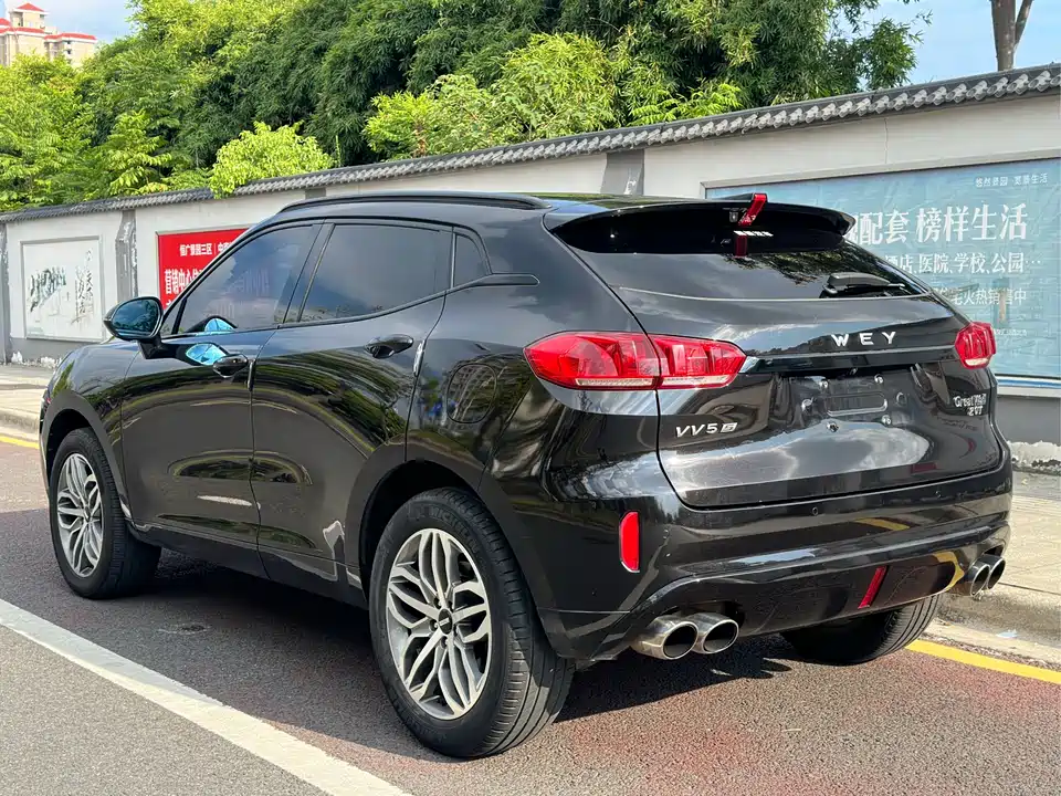Weipai VV5
