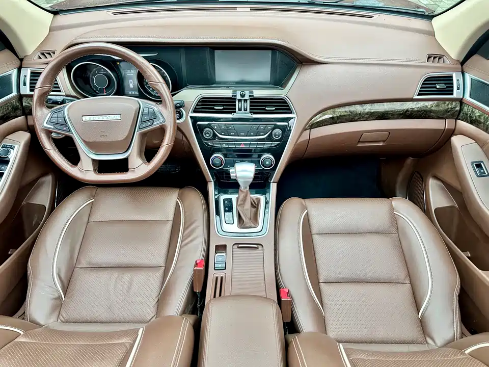 Leopaard Cheetah CS10