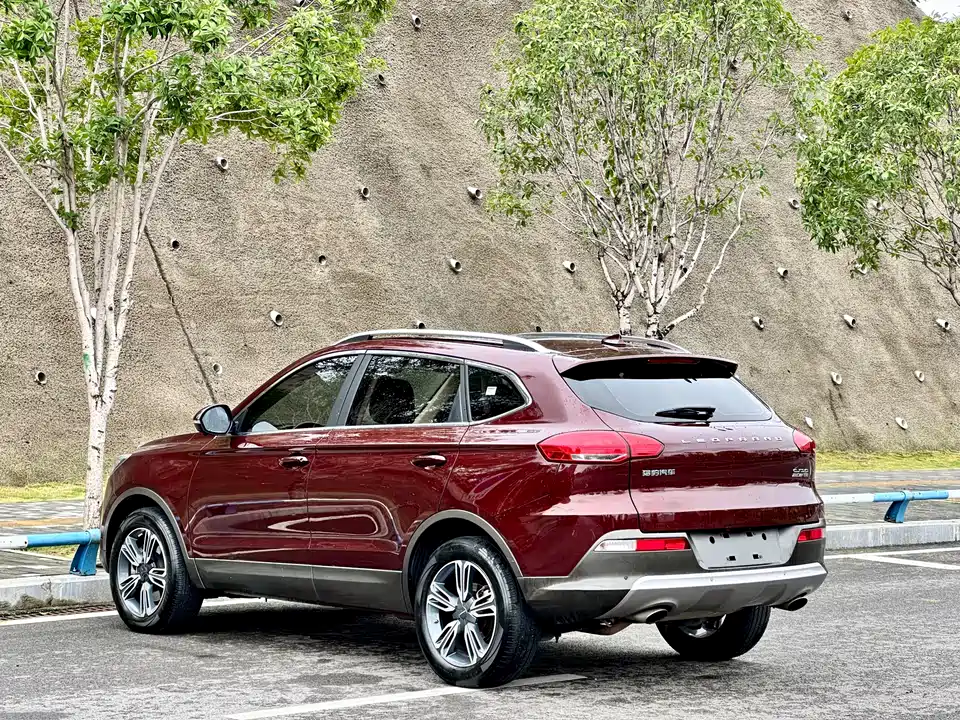 Leopaard Cheetah CS10