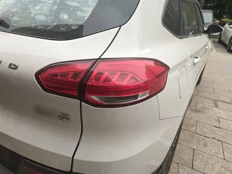 Leopaard Cheetah CS10