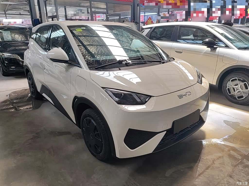 BYD Seagull, 2026 4