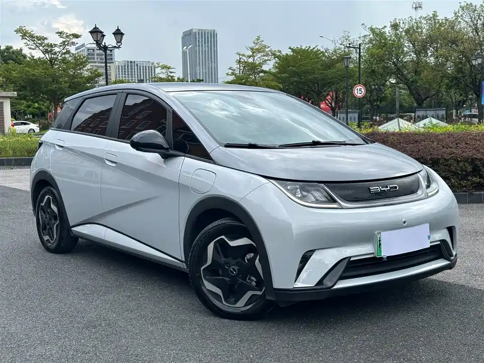 BYD dolphin