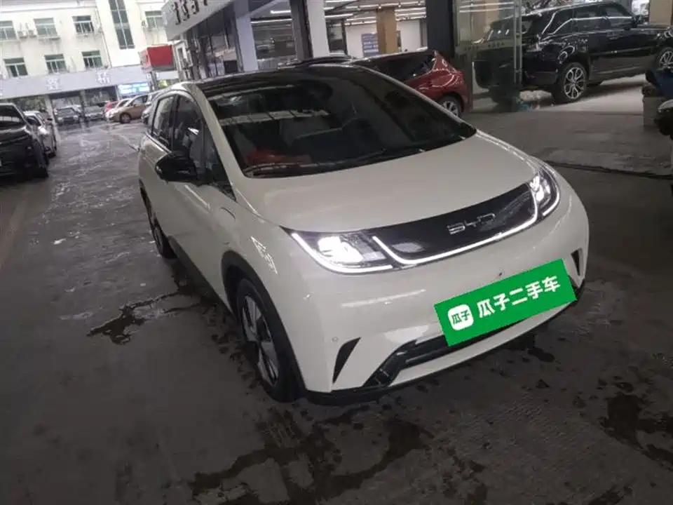 BYD dolphin