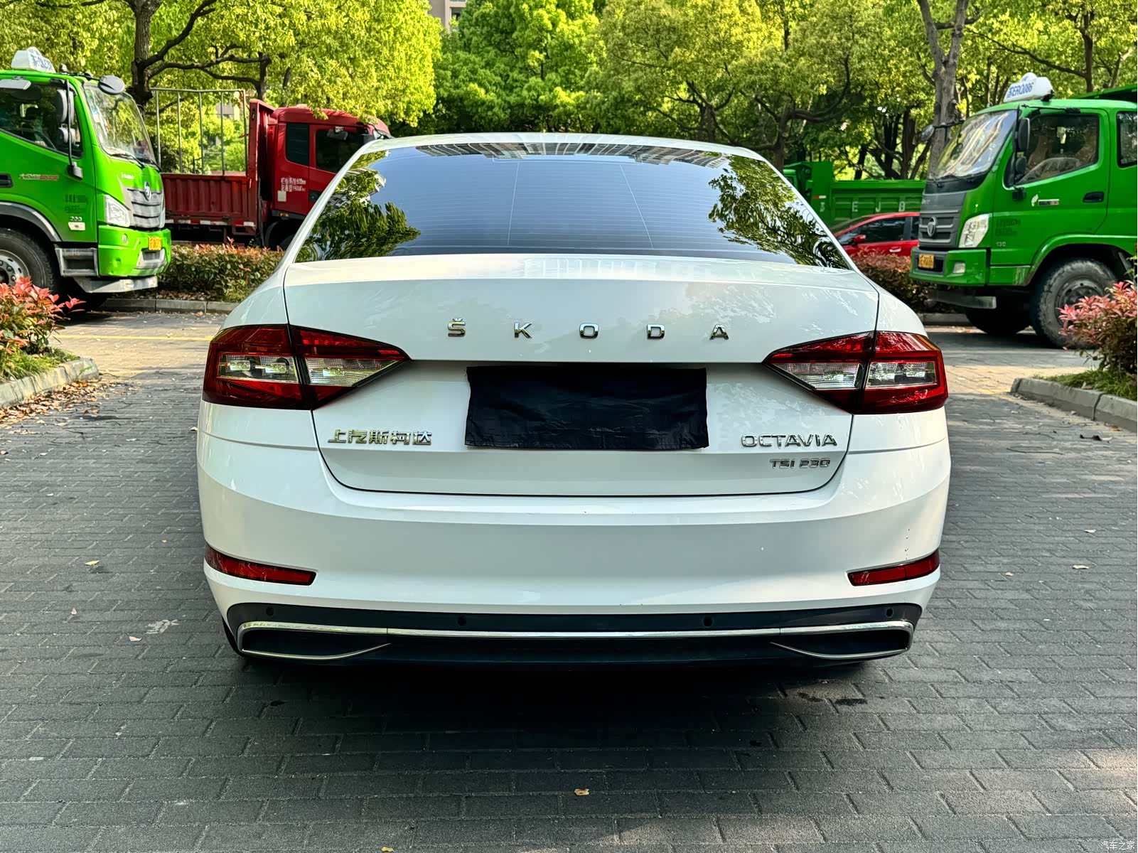 Skoda Octavia, 2019 16