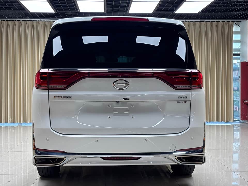 Trumpchi Trumpchi M8