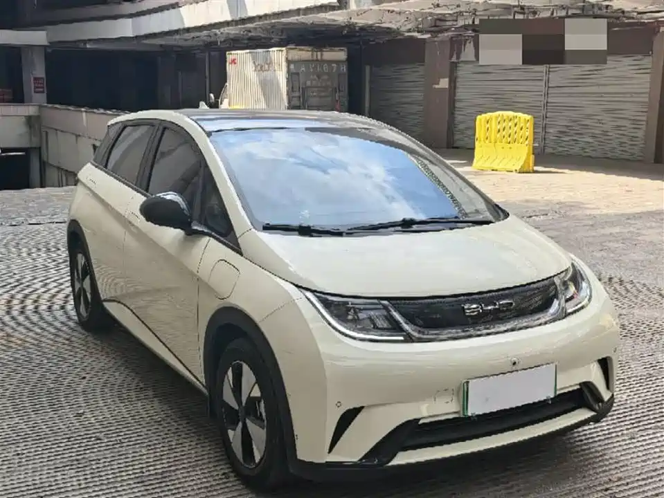 BYD dolphin