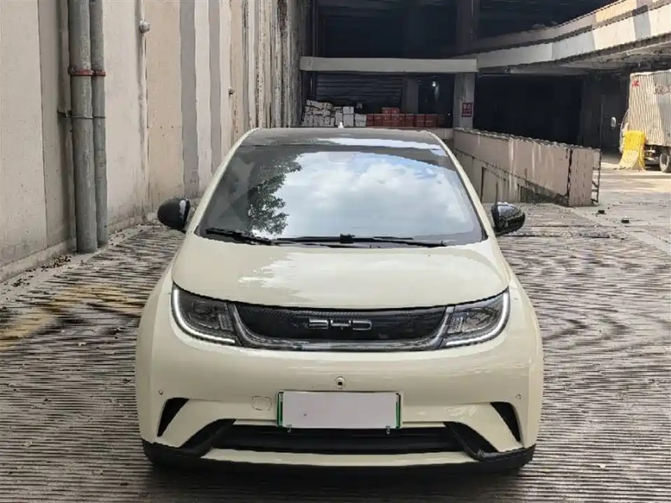 BYD dolphin