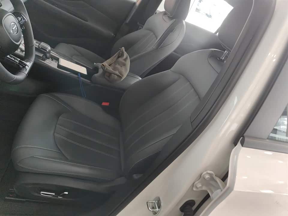Trumpchi Shadow Leopard