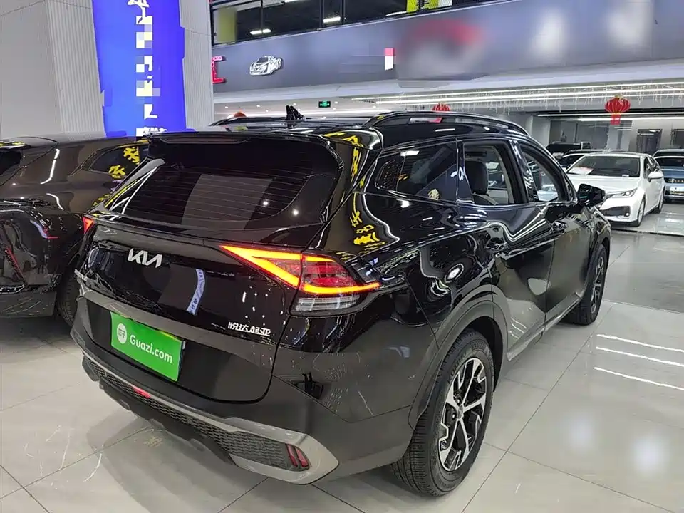 Kia Lion Platinum expands the world