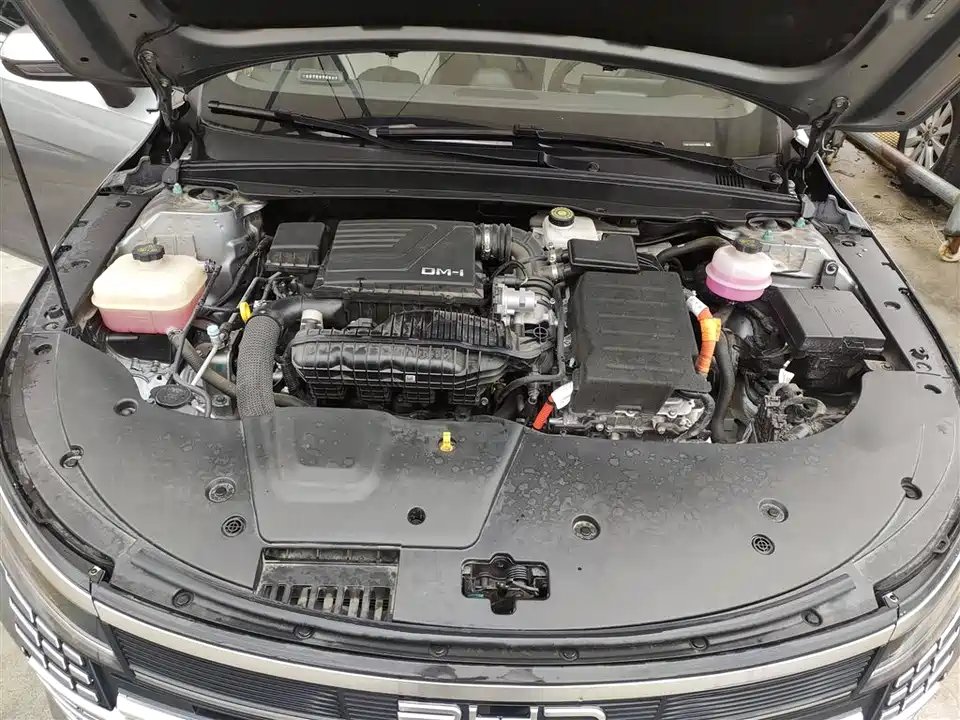BYD Destroyer 05