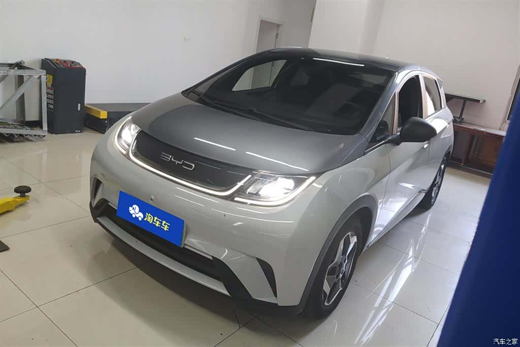 BYD Dolphin, 2022 1
