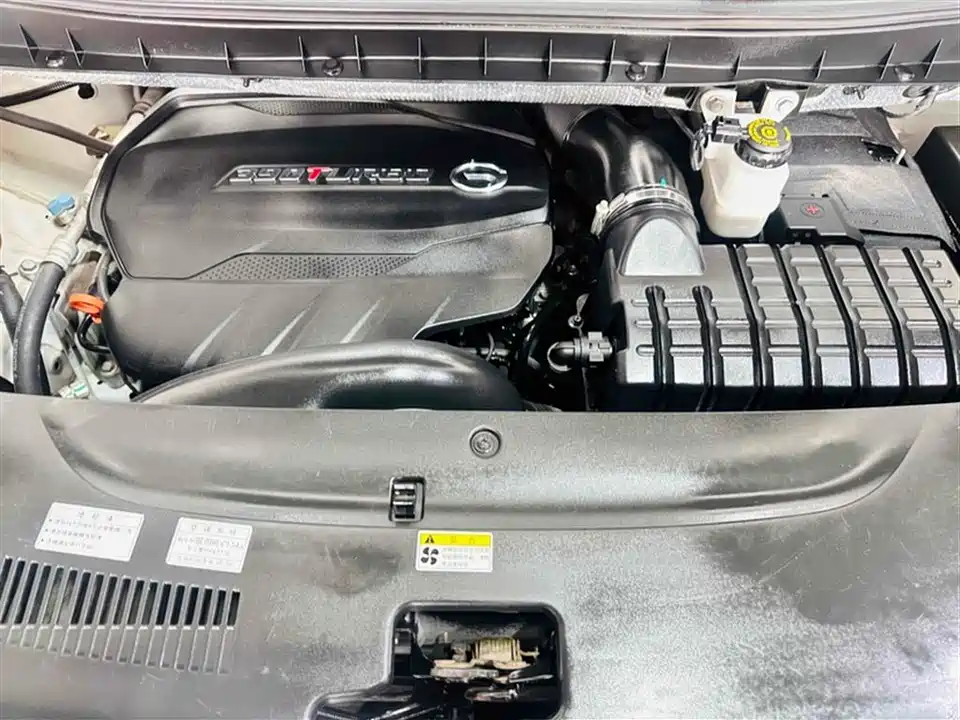 Trumpchi Trumpchi M8