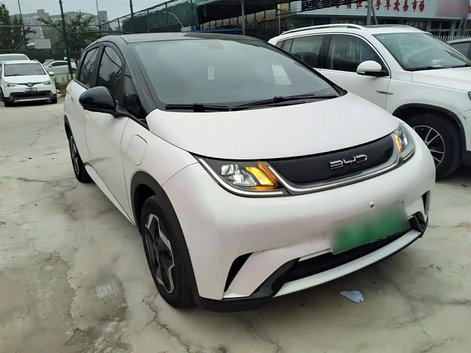 BYD dolphin
