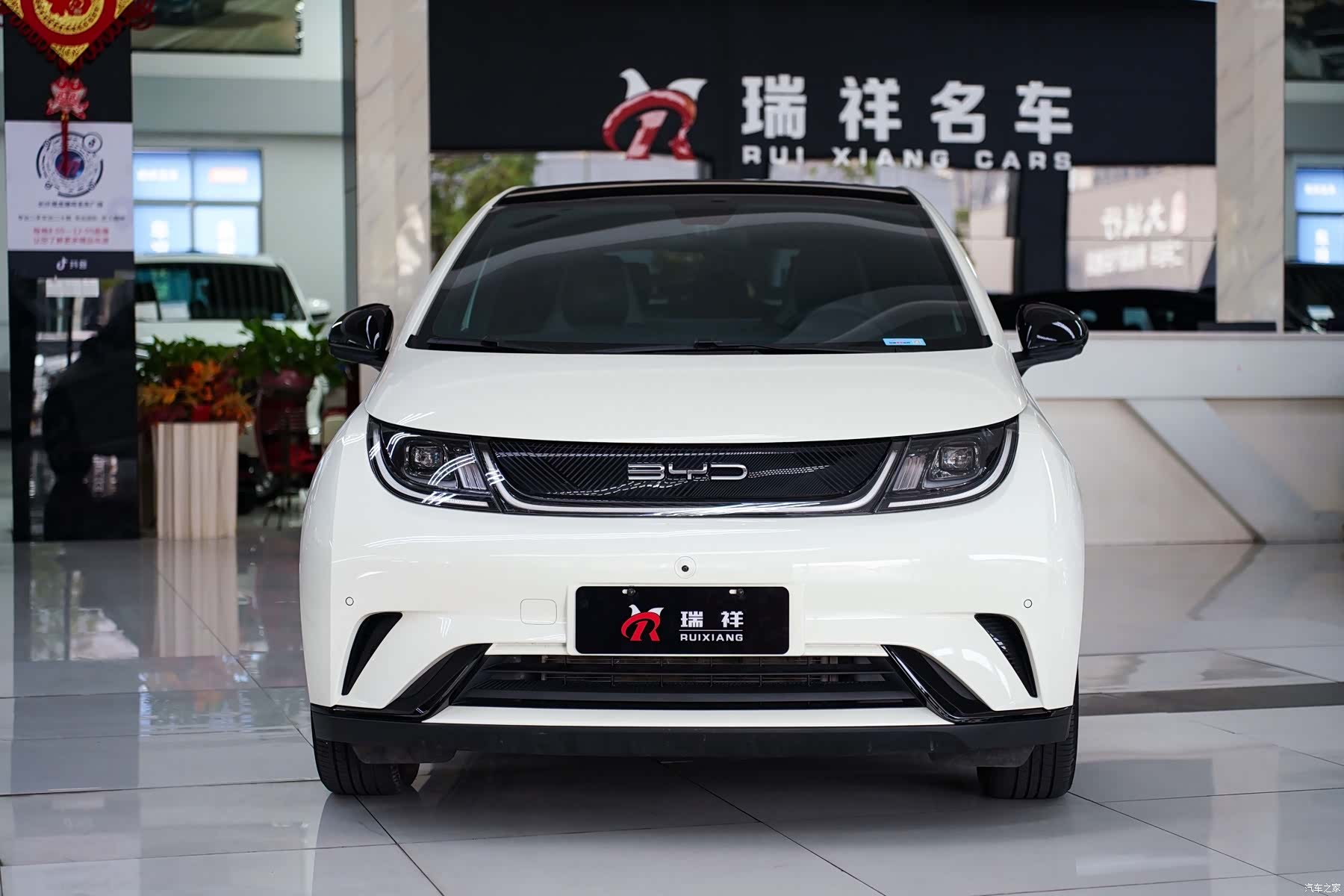 BYD Dolphin, 2023 3