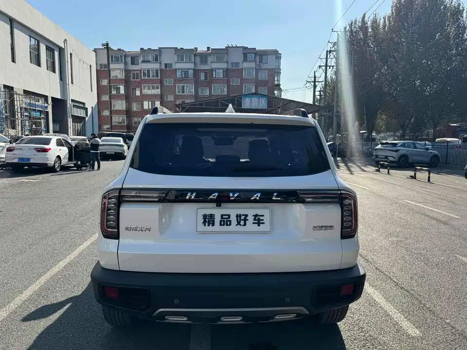 Haval Big dog