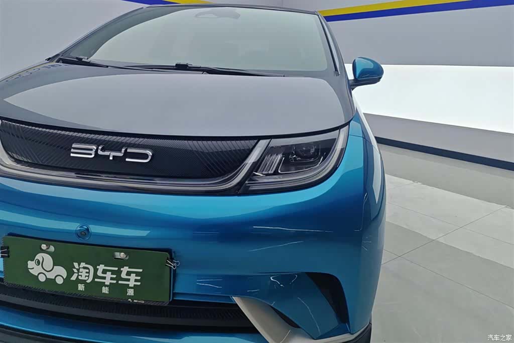 BYD Dolphin, 2022 все фото