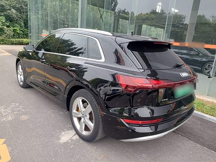 Audi e-tron 2019 55 quattro Style