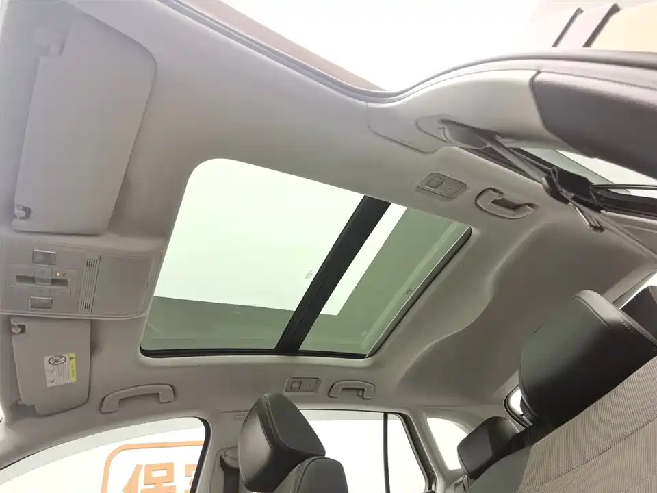 Volkswagen C-TREK Wei Collar