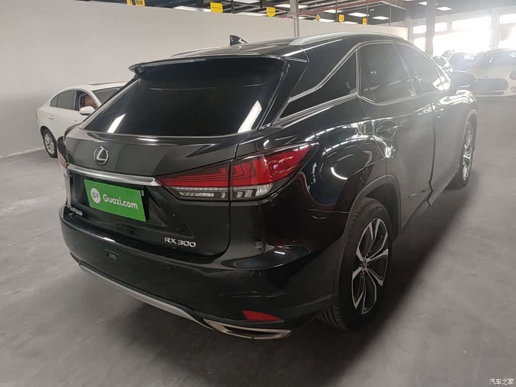 Lexus RX, 2021 7