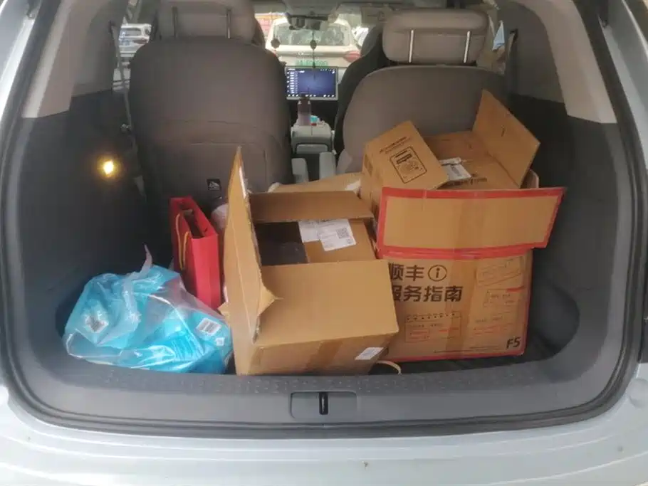 ARCFOX Polar fox koala